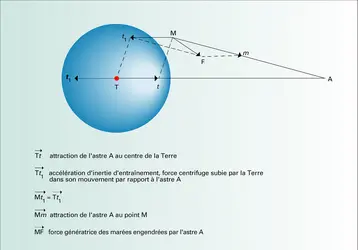 Force génératrice des marées - crédits : Encyclopædia Universalis France