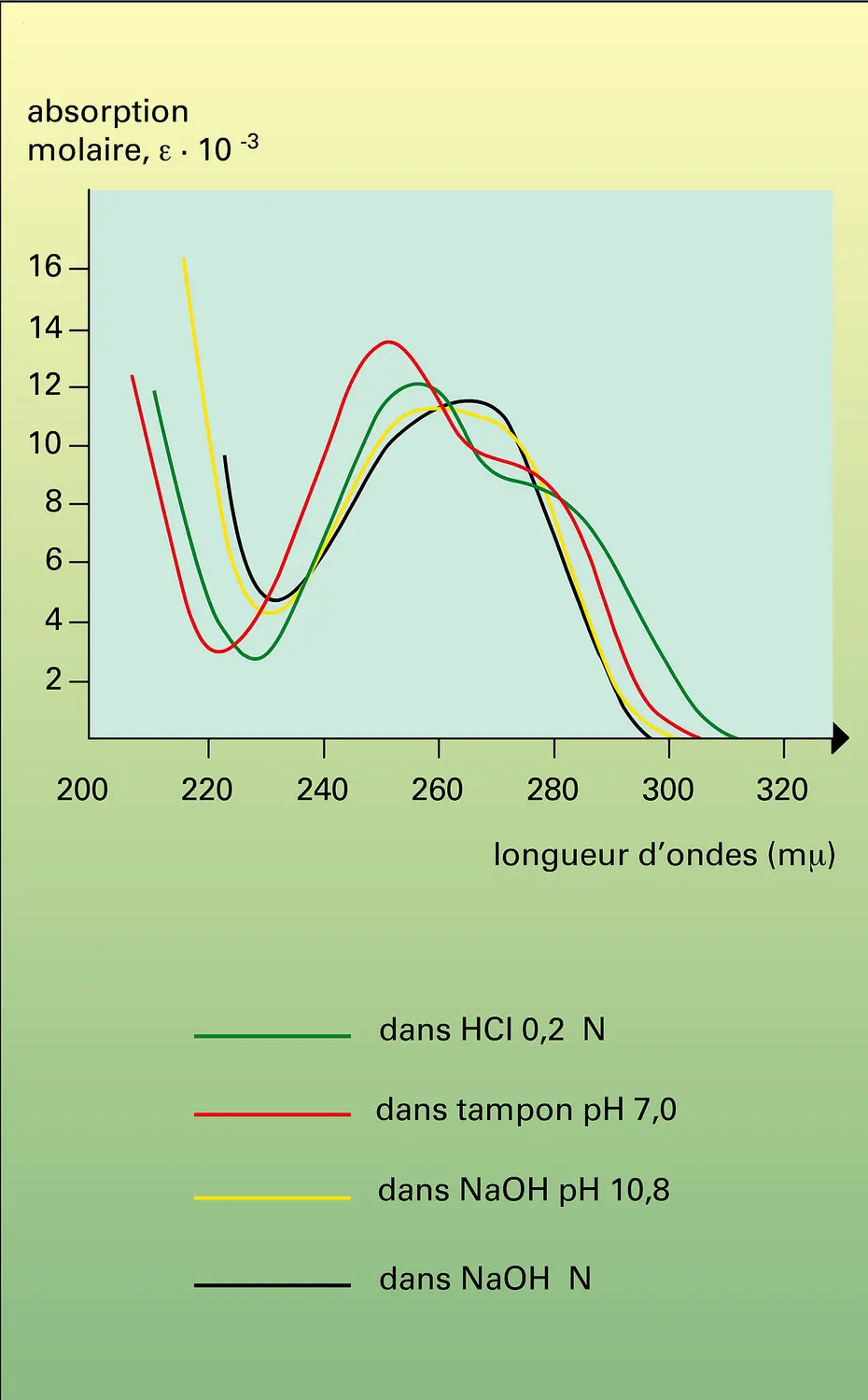 Spectre d'absorption de l'acide guanylique