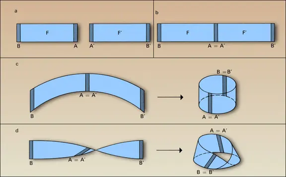 Cylindre et bande de Möbius