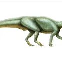 Plateosaurus - crédits : Encyclopædia Universalis France