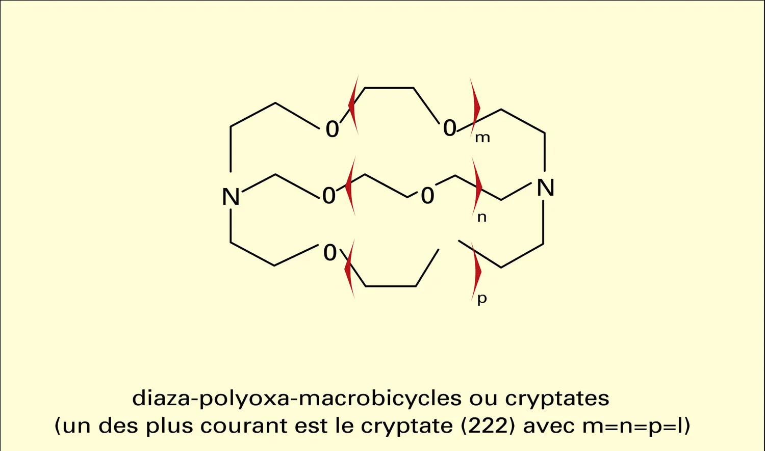 Coordinats macrocycliques - vue 2