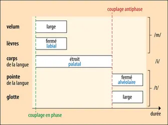 Partition gestuelle - crédits : Encyclopædia Universalis France