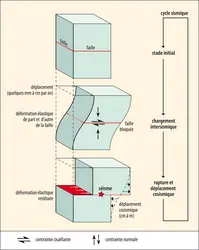 Principe d’un cycle sismique - crédits : Encyclopædia Universalis France