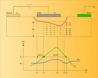 Transistor à effet de champ - crédits : Encyclopædia Universalis France