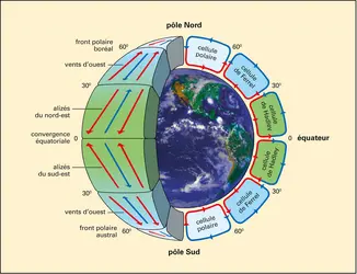 Circulation en cellules de l'atmosphère - crédits : Encyclopædia Universalis France