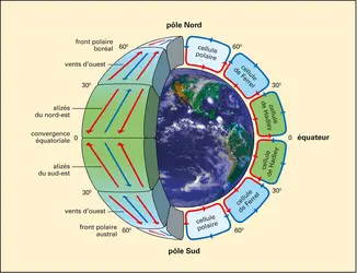Les différents systèmes de dépollution - Ornikar