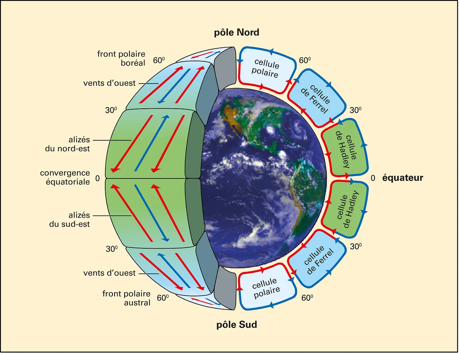 Circulation en cellules de l'atmosphère