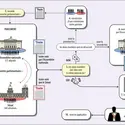 La navette parlementaire - crédits : Encyclopædia Universalis France