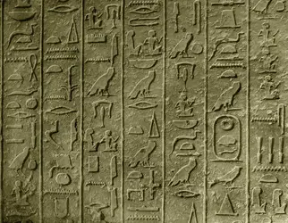 L’écriture hiéroglyphique - crédits : Collection Dagli Orti/ Werner Forman Archive/ Picture Desk