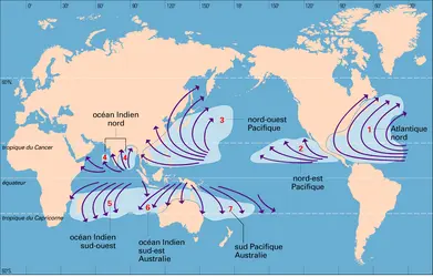 Zones de formation des cyclones - crédits : Encyclopædia Universalis France