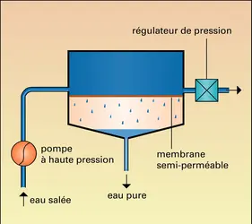 Osmose inverse - crédits : Encyclopædia Universalis France