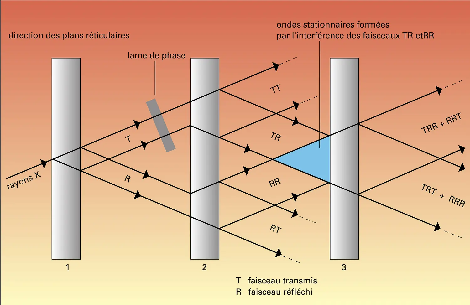 Interféromètre à rayons X