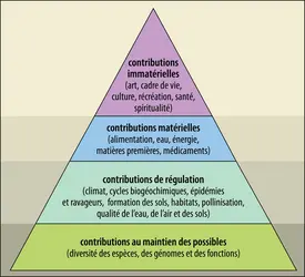 Pyramide des contributions de la nature aux sociétés humaines - crédits : Encyclopædia Universalis France