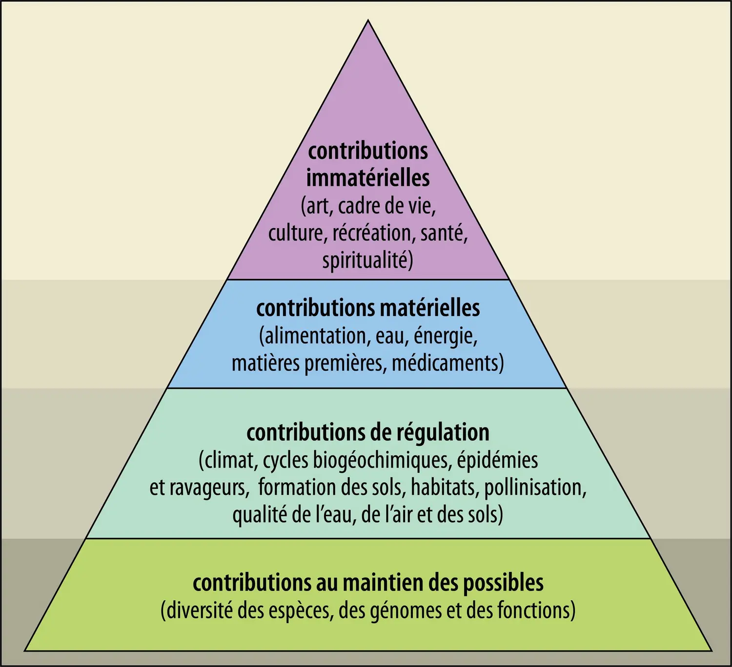 Pyramide des contributions de la nature aux sociétés humaines
