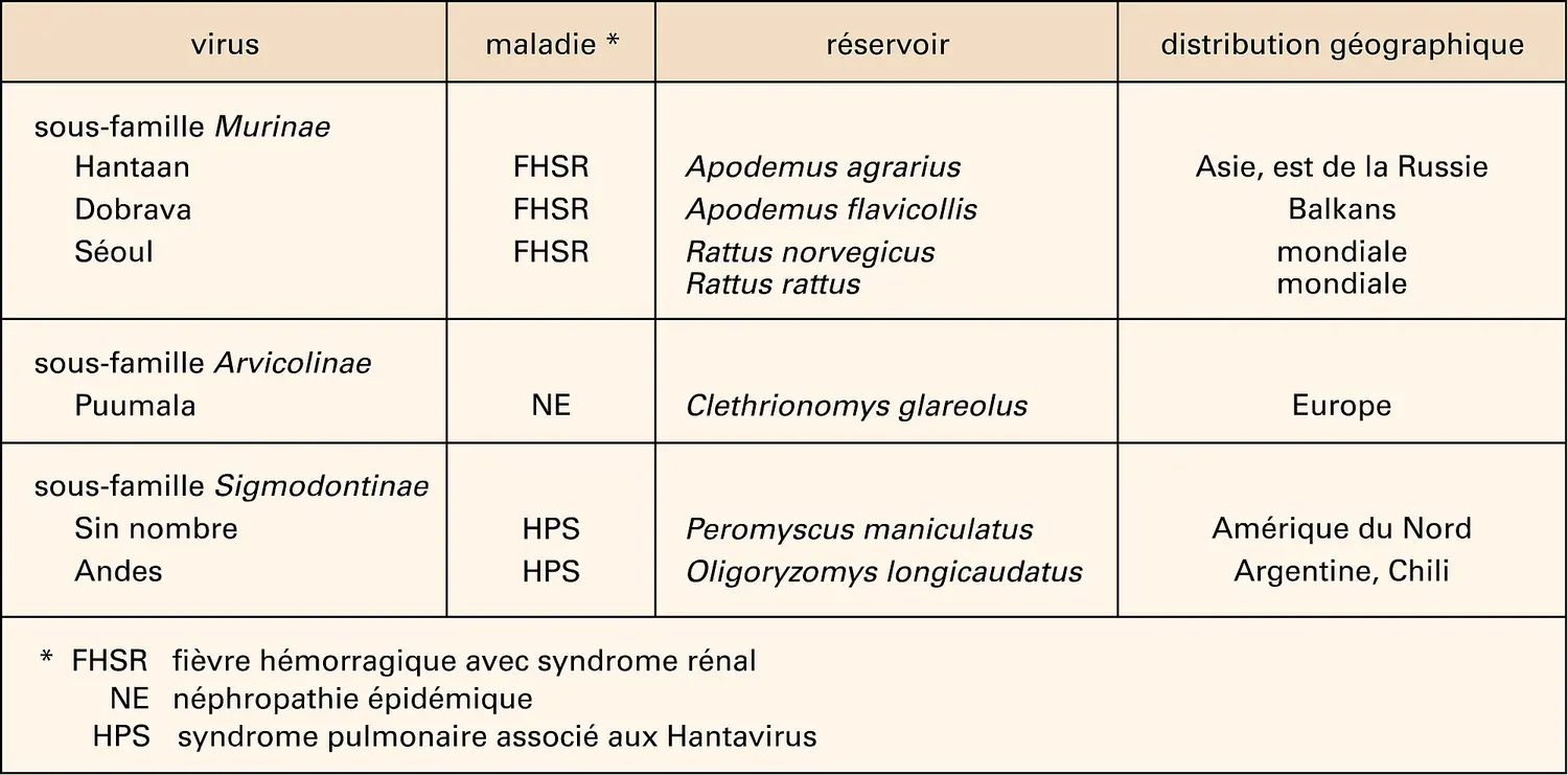 Hantavirus