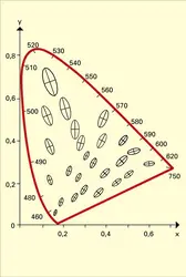 Ellipses d'égale discrimination chromatique - crédits : Encyclopædia Universalis France