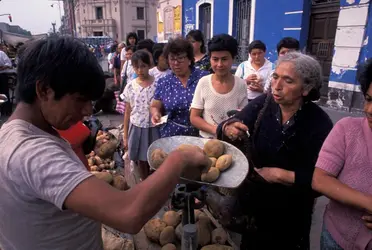 Distribution de pommes de terre au Pérou dans les années 1980 - crédits : Greg Smith/ Corbis/ Getty Images