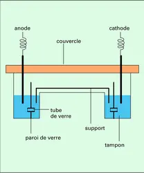 Cuve à électrophorèse - crédits : Encyclopædia Universalis France