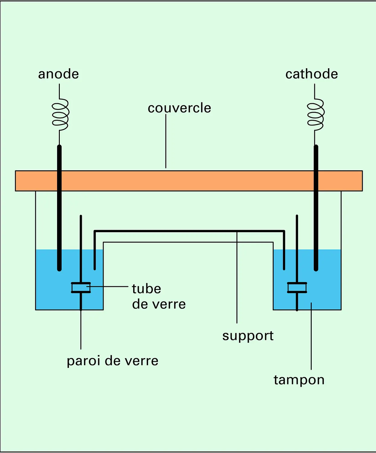 Cuve à électrophorèse