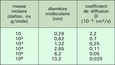 Coefficient de transfert - crédits : Encyclopædia Universalis France