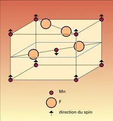 Structure magnétique du fluorure de manganèse - crédits : Encyclopædia Universalis France