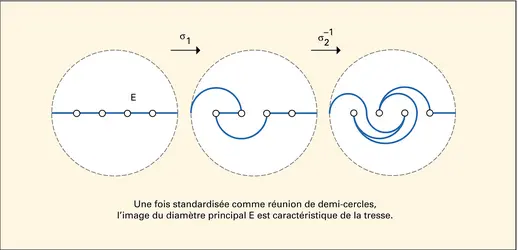 Action sur le diamètre principal de Dn - crédits : Encyclopædia Universalis France