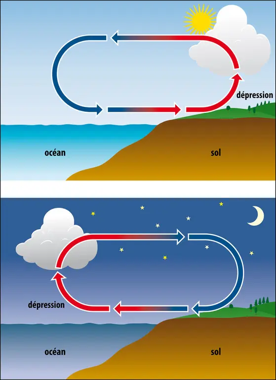 Brise de mer et brise de terre