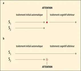 La sélection attentionnelle - crédits : Encyclopædia Universalis France