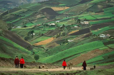 Chimborazo (Équateur) - crédits : Paul Harris/ The Image Bank/ Getty Images