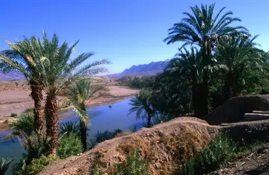 Vallée du Draa, Maroc - crédits : John Elk III/ The Image Bank/ Getty Images