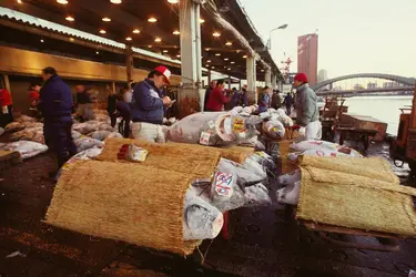 Marché au poissons, Tōkyō - crédits : Glowimages/ Getty Images