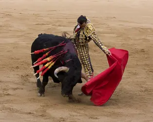 Corrida dans les arènes de la Monumental, Barcelone - crédits : Natursports/ Shutterstock