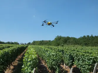 Drone et viticulture - crédits : E. Zunino/ Novadem