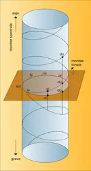 Représentation de la variation de hauteur des sons sur un cylindre - crédits : Encyclopædia Universalis France