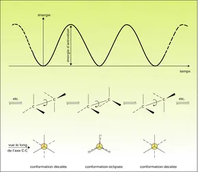 Rotation autour d'une liaison carbone-carbone - crédits : Encyclopædia Universalis France