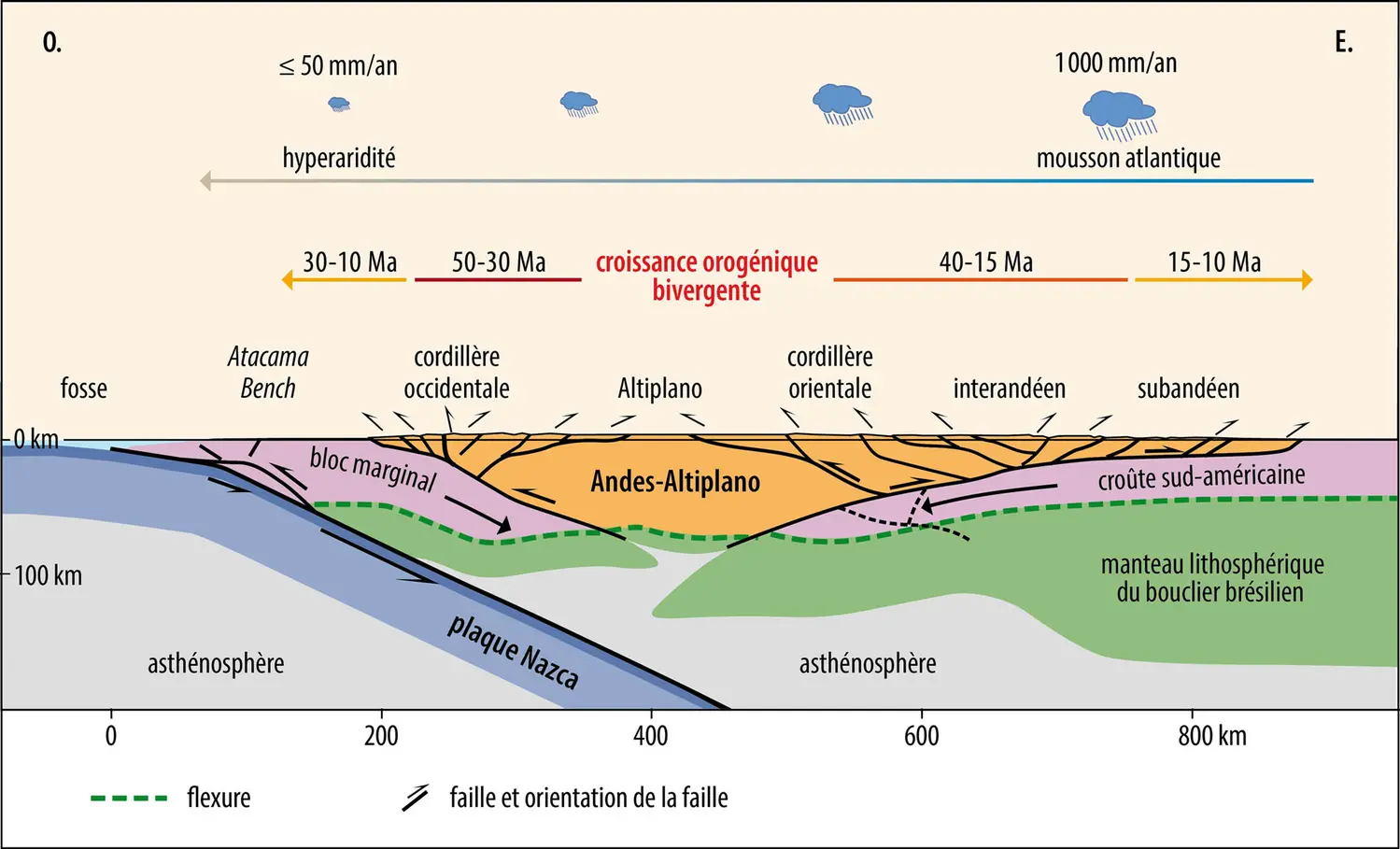 Intrications des mouvements dans l’orogenèse des Andes