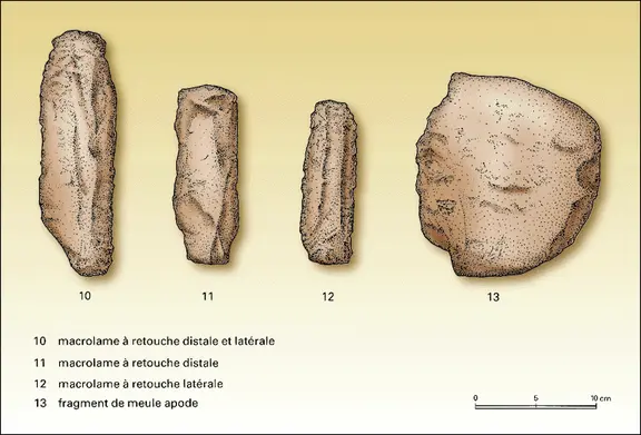 Outils de pierre taillée du site de Sand Hill : macrolames