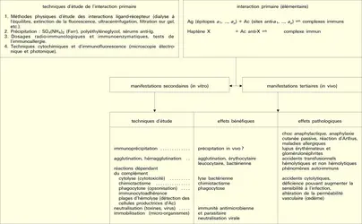 Classification fonctionnelle - crédits : Encyclopædia Universalis France