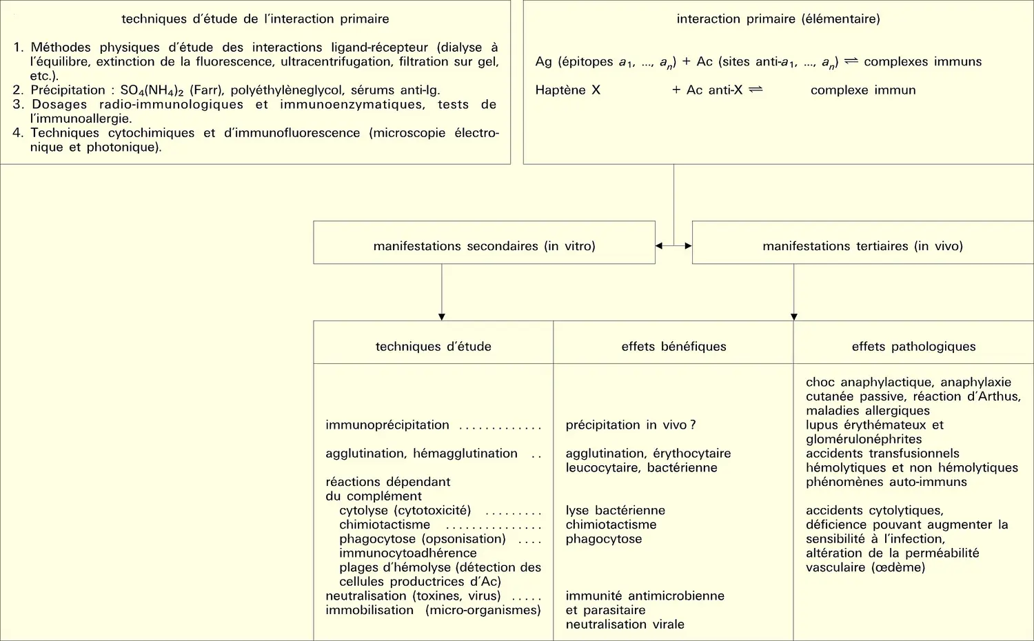 Classification fonctionnelle