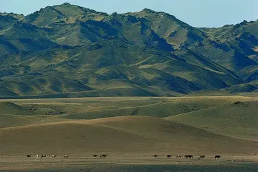 Désert de Gobi - crédits : B. A. Vikander