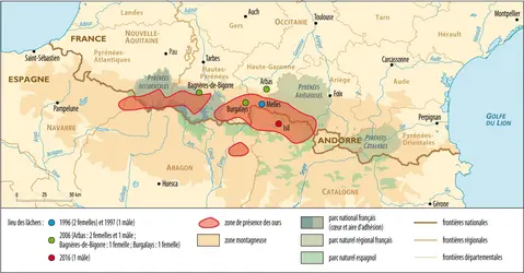 Localisation des ours bruns dans les Pyrénées - crédits : Encyclopædia Universalis France