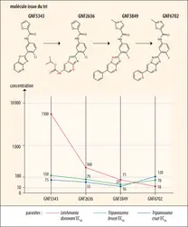 Série de molécules antiflagellées - crédits : Encyclopædia Universalis France