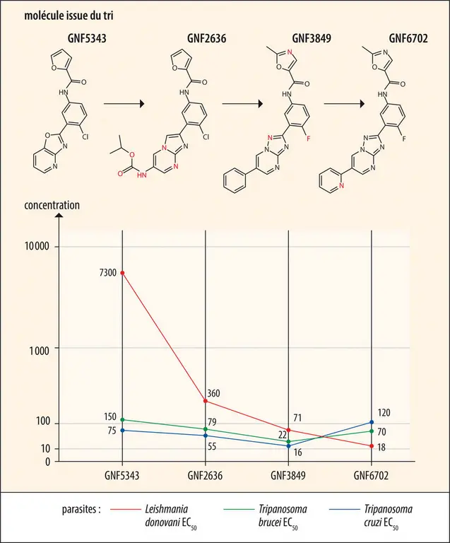 Série de molécules antiflagellées