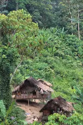 Malaisie: village des Orang Asli - crédits : De Agostini/ Getty Images