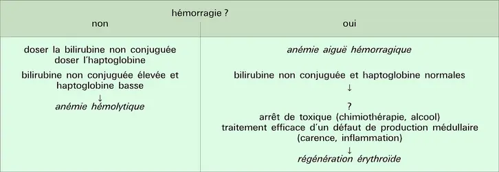 Anémie normochrome non microcytaire régénérative - crédits : Encyclopædia Universalis France