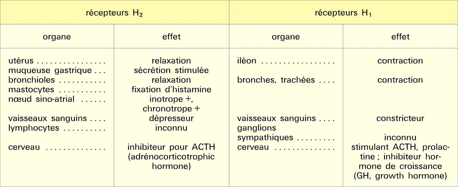 Action de l'histamine