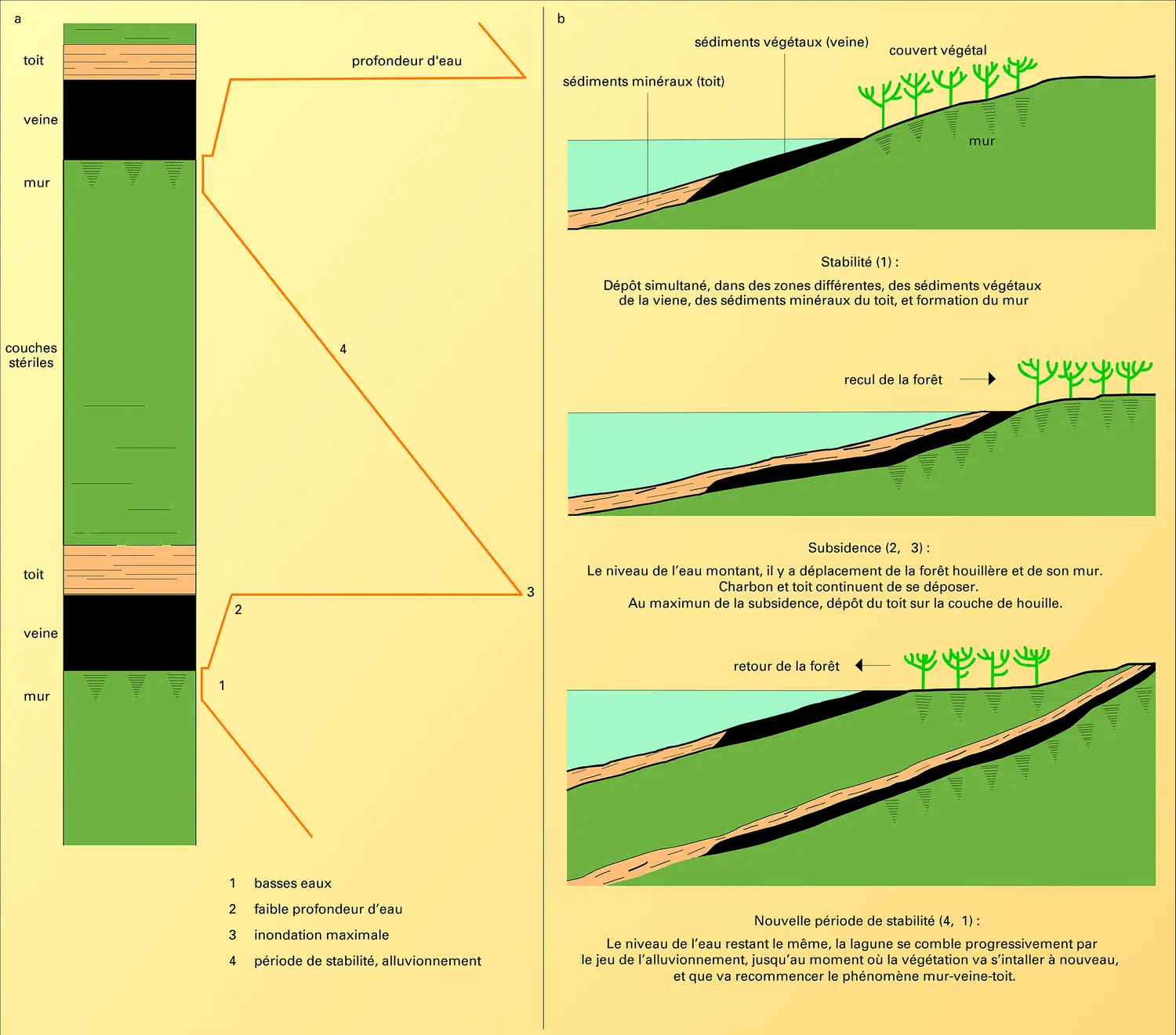 Sédimentation