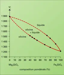 Forstérite-fayalite : diagramme d'équilibre - crédits : Encyclopædia Universalis France