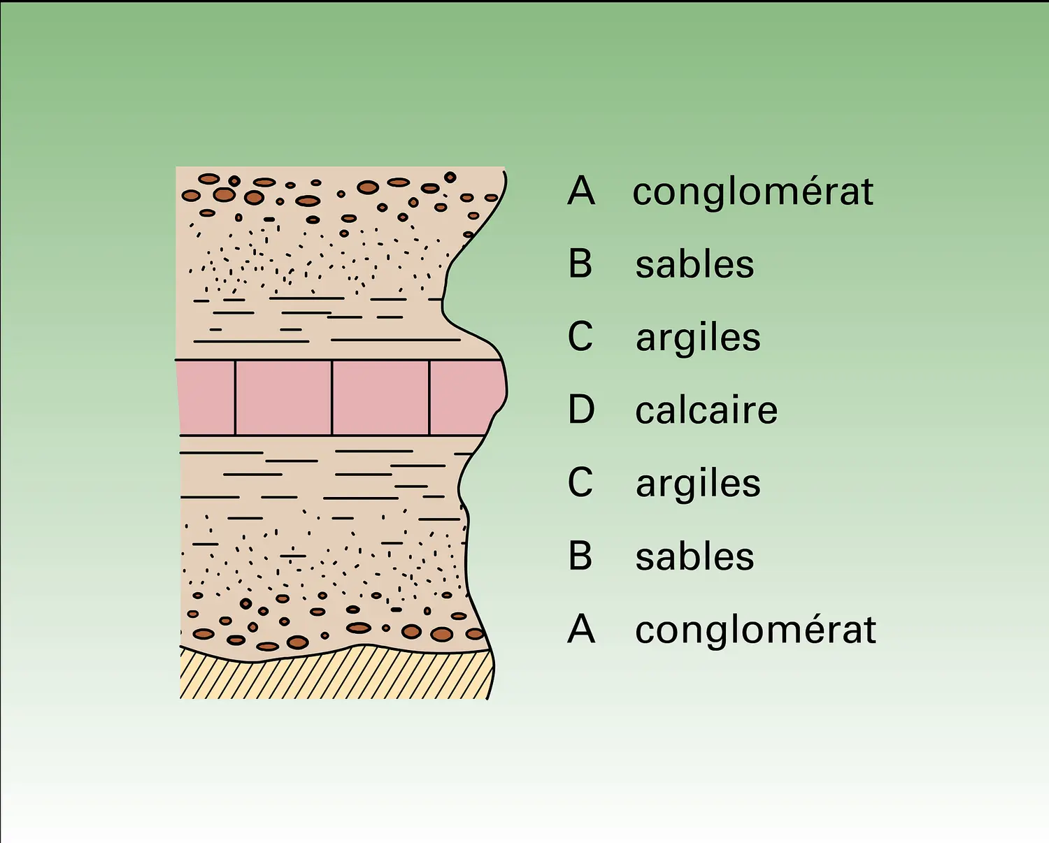 Cycle vrai