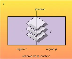 Jonction n-p - crédits : Encyclopædia Universalis France
